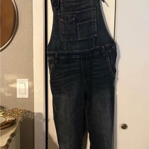 Free People Dark Denim Overalls